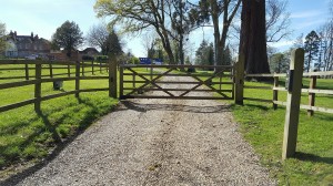 Wooden Gates (4)